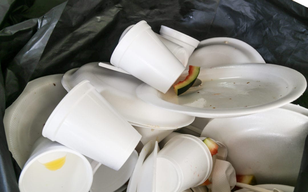 CEH, Groups Sue to Force FDA to Ban Toxic Chemical in Food Packaging
