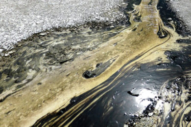 Make Companies Come Clean About Their Toxics