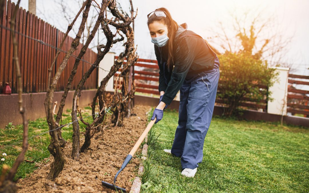 Non-Toxic Gardening During COVID-19