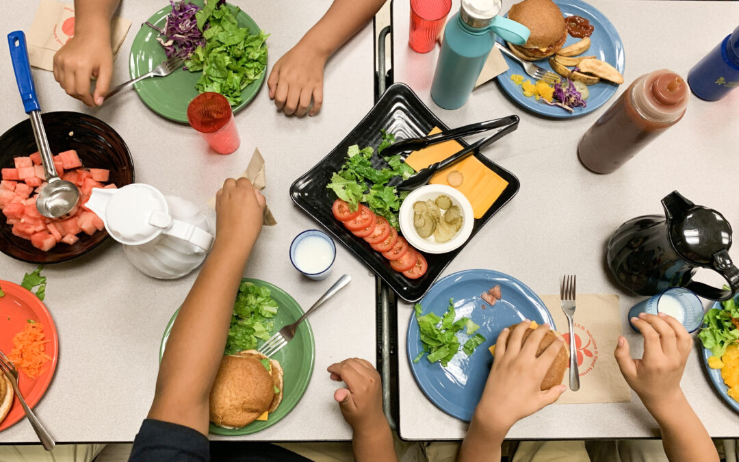 Ditching Disposables: Healthier Foodware in K-12 Schools