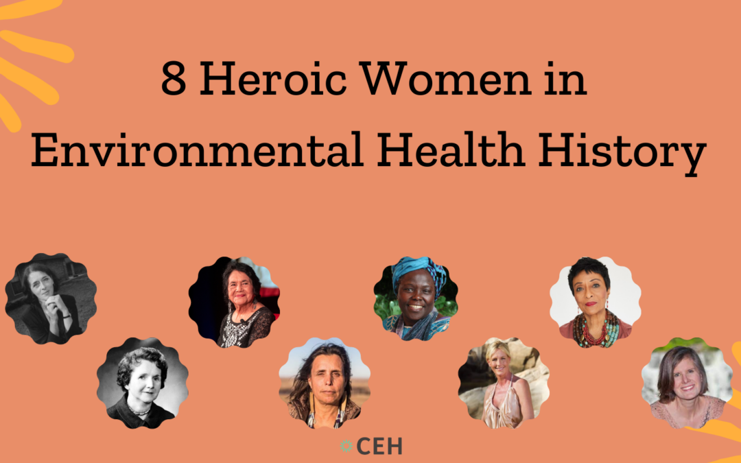 Celebrating Women in Environmental Health