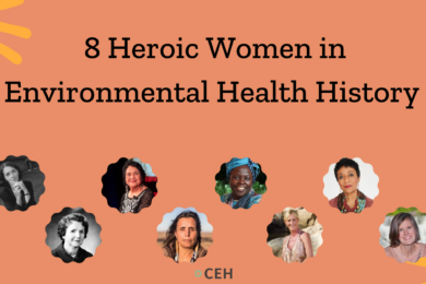Celebrating Women in Environmental Health