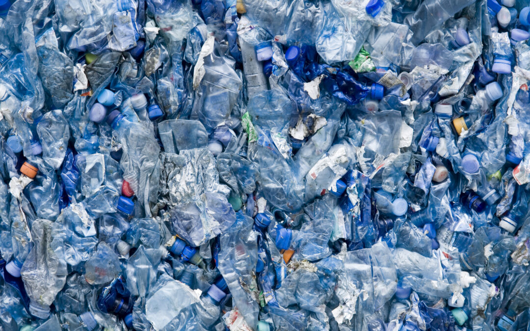 New Fact Sheet Reveals the Worst Plastics