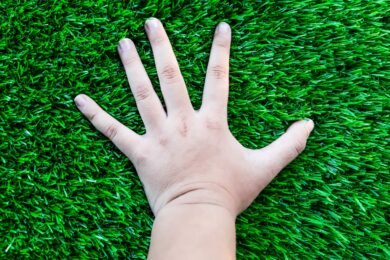 Everything You Need to Know About Artificial Turf