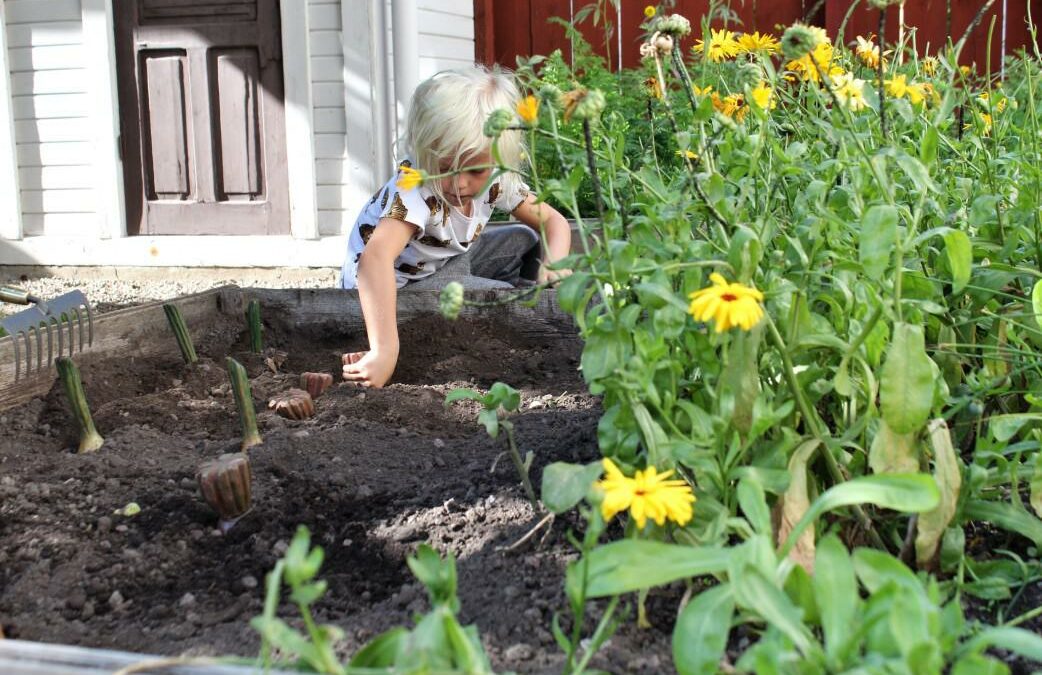 Starting a new garden? How to Test Your Soil for Lead