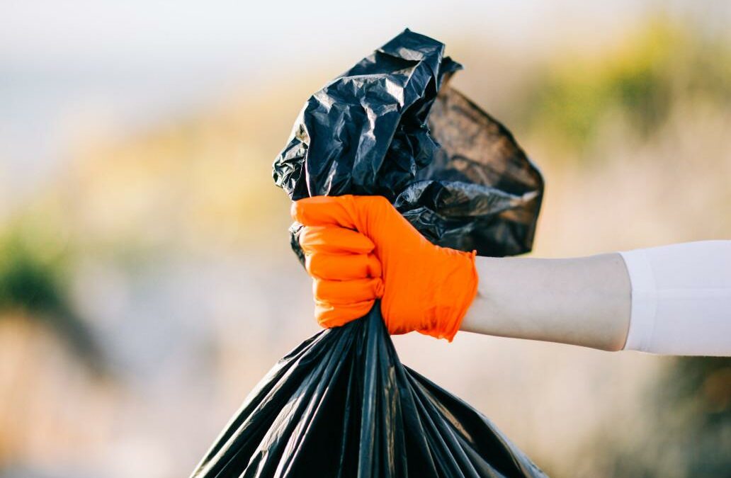 How to Organize a Successful and Thorough Outdoor Cleanup