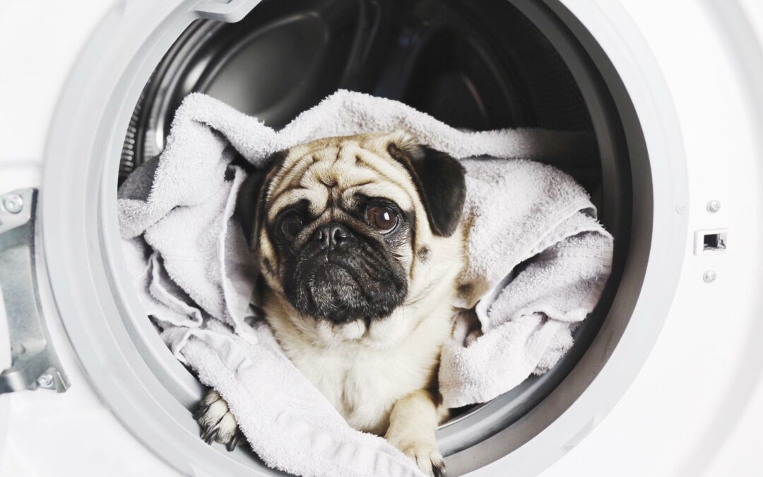 How to Naturally Deep Clean Your Laundry Machine