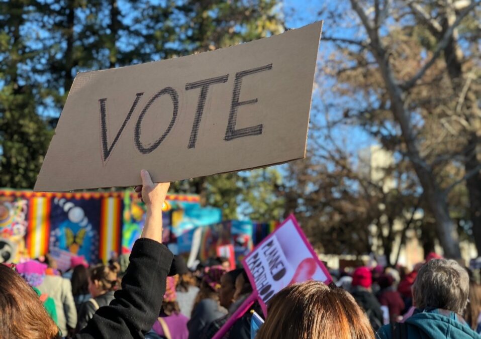 Why Voting This November is So Important