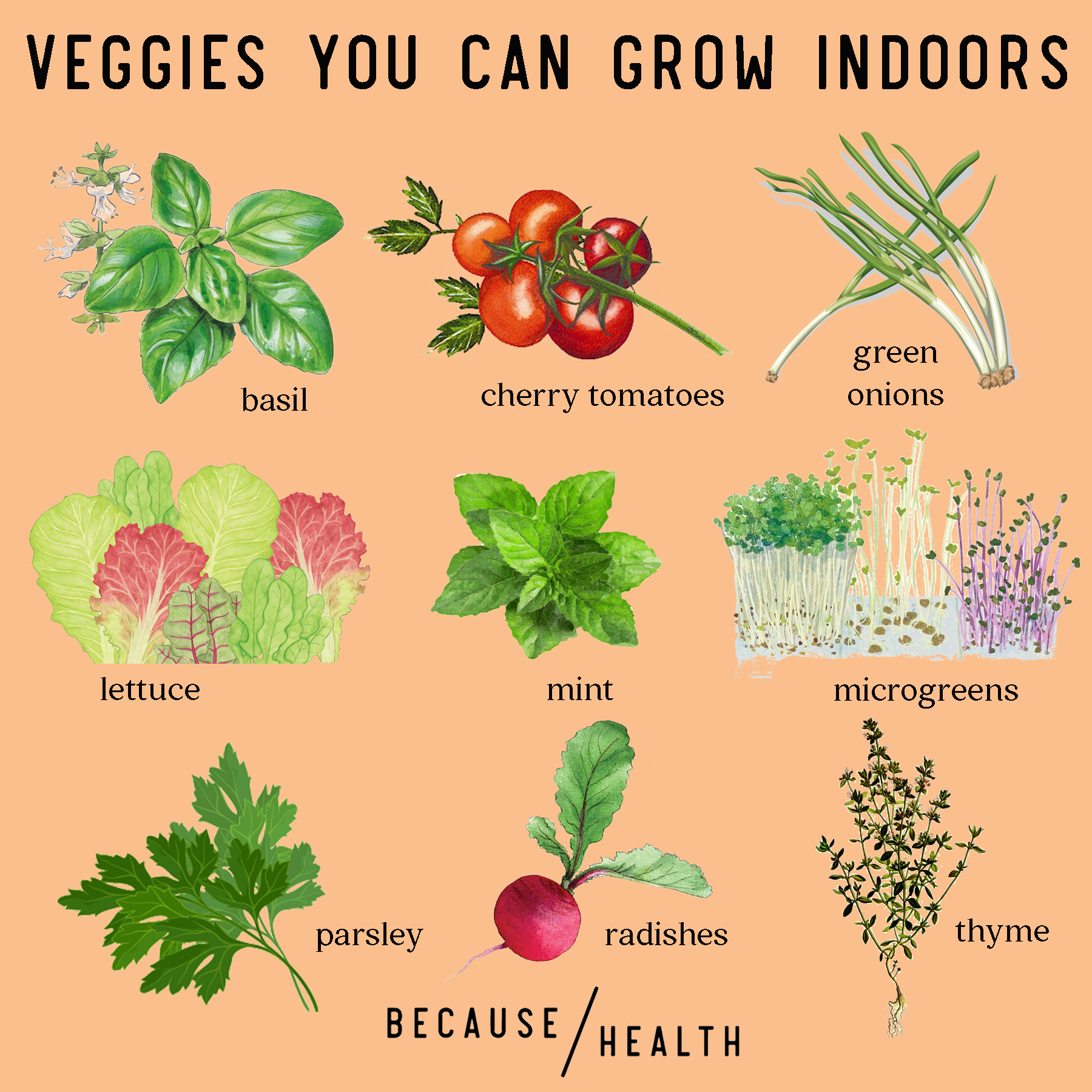 10 Fruits and Vegetables You Can Grow Indoors