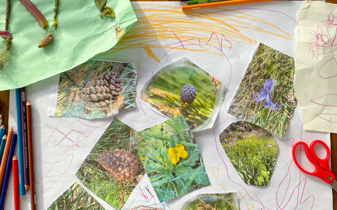Stay Grounded and Creative with These Nature-Themed Activities