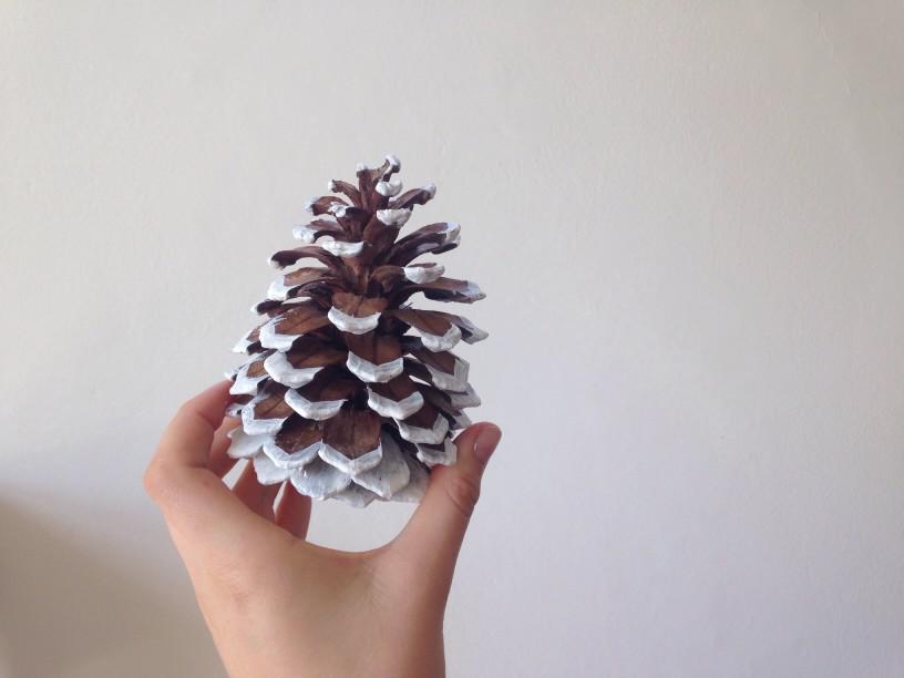 Pine cones are a great plastic free holiday decoration