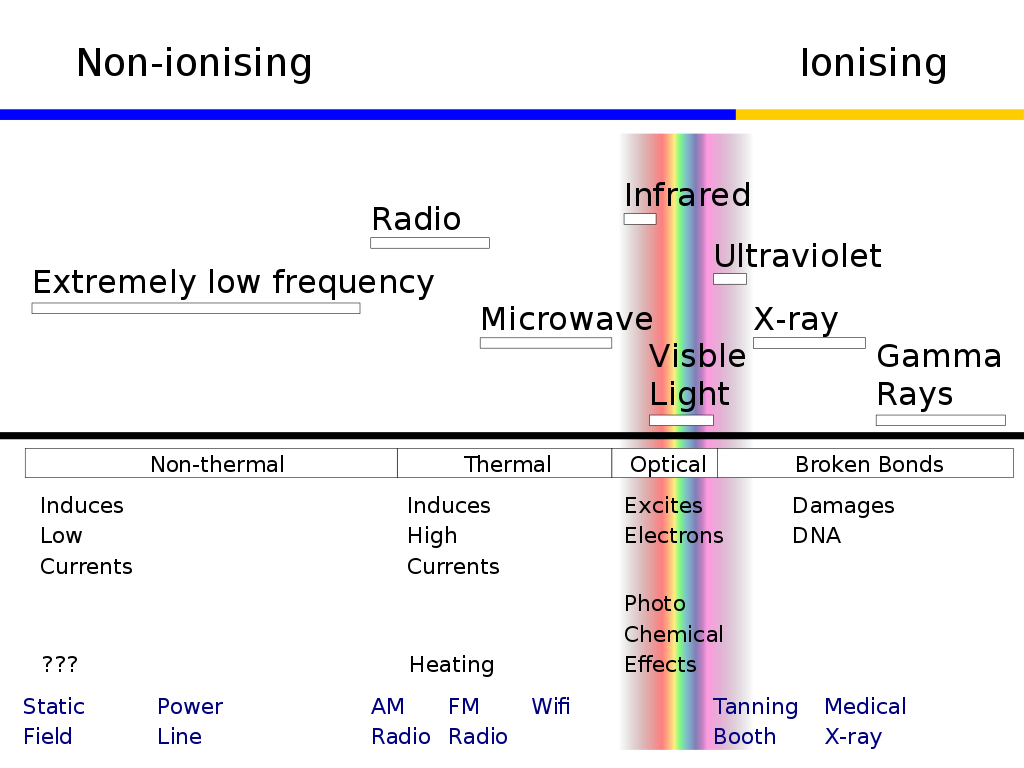 Does WiFi Affect the Brain?