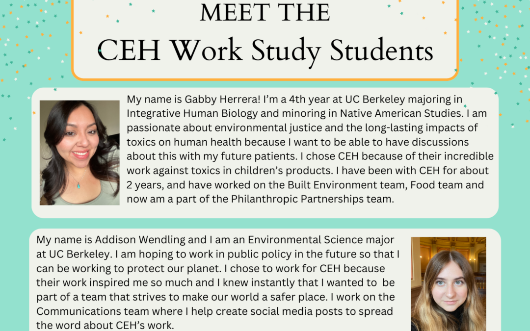 CEH Work Study Digest