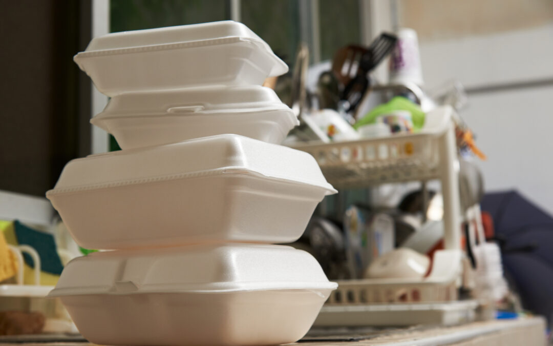 Polystyrene, Disposable Food Containers, and Contaminated Food Fact Sheet