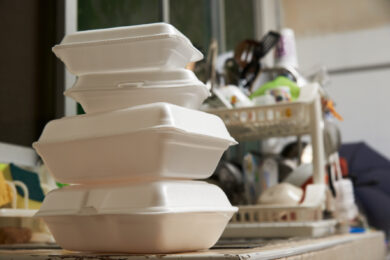 Polystyrene, Disposable Food Containers, and Contaminated Food Fact Sheet