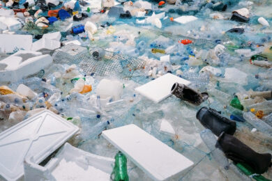 Substituting Styrofoam: 5 More States Ban Polystyrene as Food Packaging