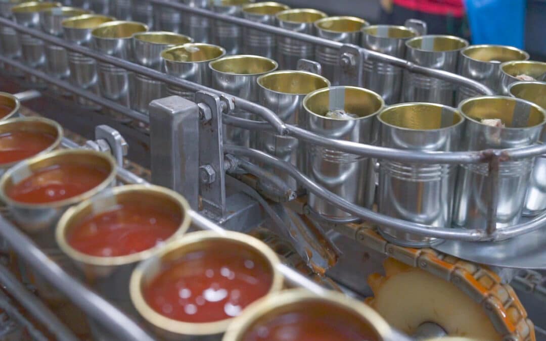Report: Invisible Ingredients – Tackling toxic chemicals in the food system