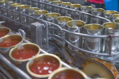 Report: Invisible Ingredients – Tackling toxic chemicals in the food system