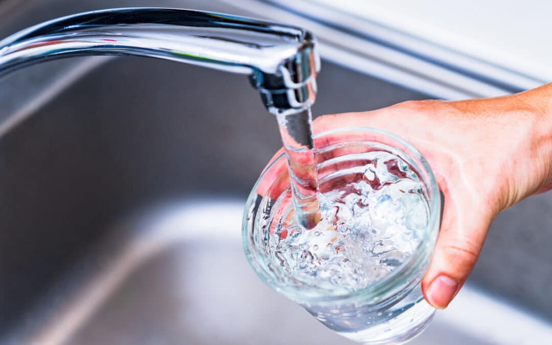 New Survey: Americans Are Concerned About Harmful Chemicals in Food, Water and Everyday Products